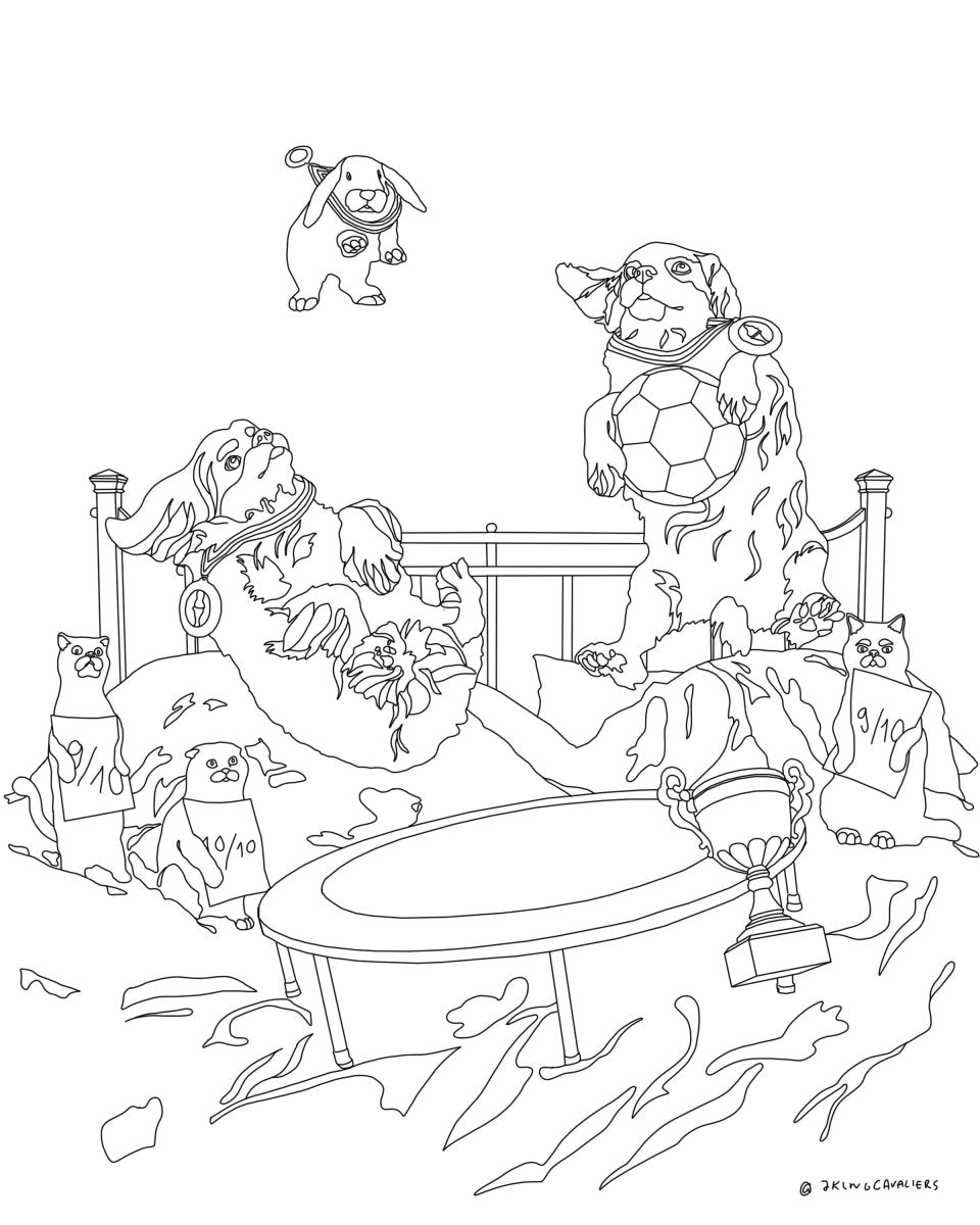 Crufts Colouring Page - 7KINGCAVALIERS