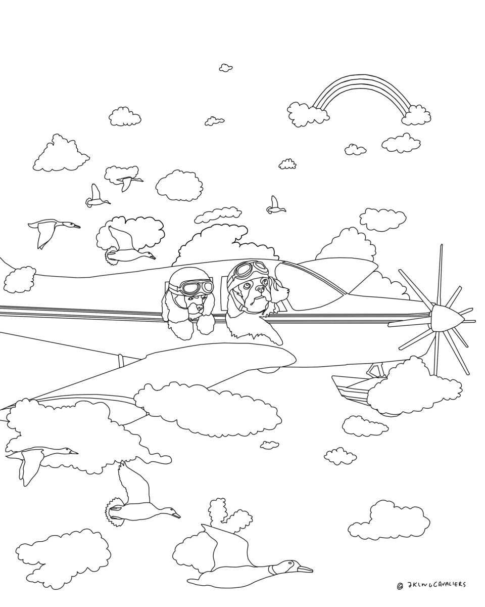Plane Colouring Page - 7KINGCAVALIERS
