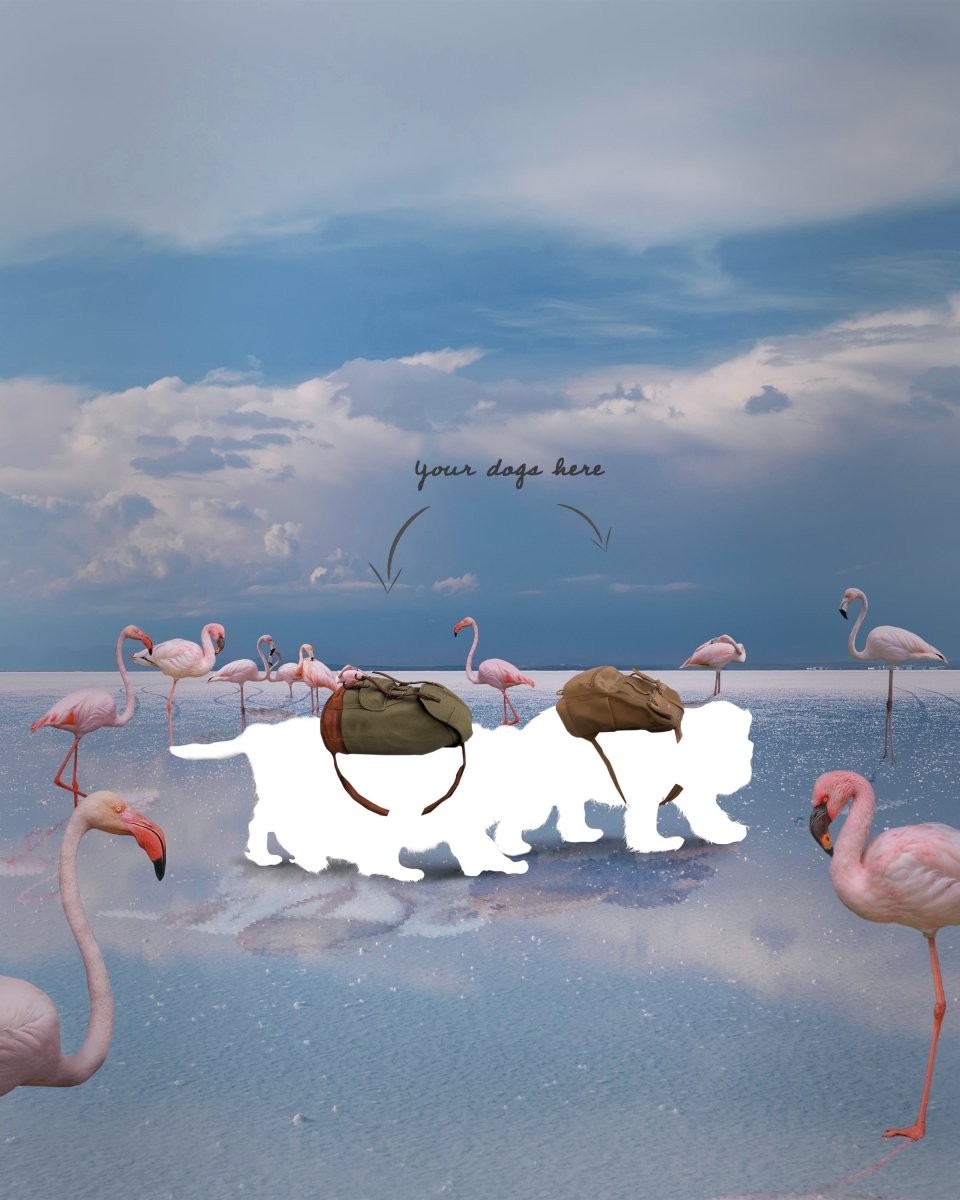 Flamingo Lake Walk Insert - 7KINGCAVALIERS