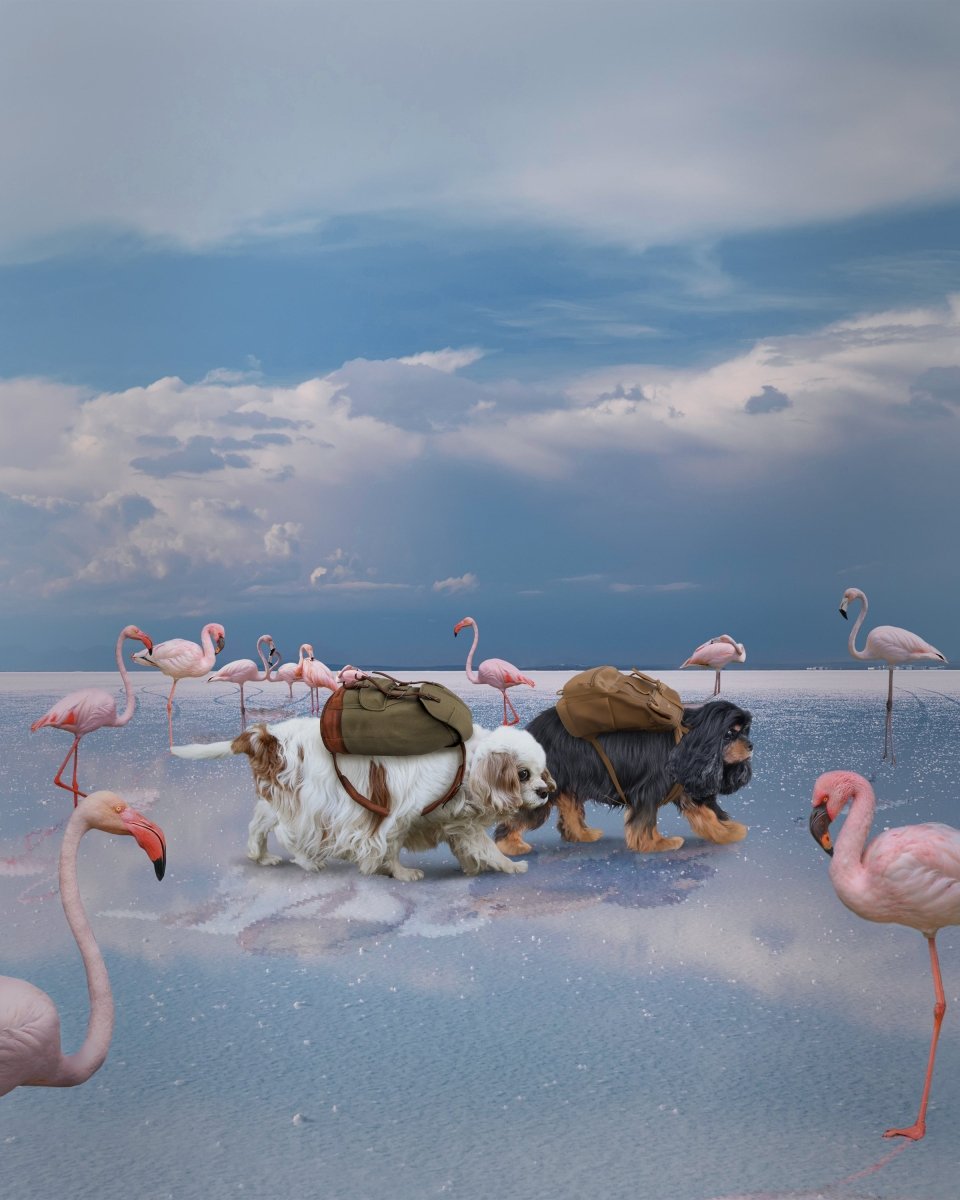 Flamingo Lake Walk Insert - 7KINGCAVALIERS
