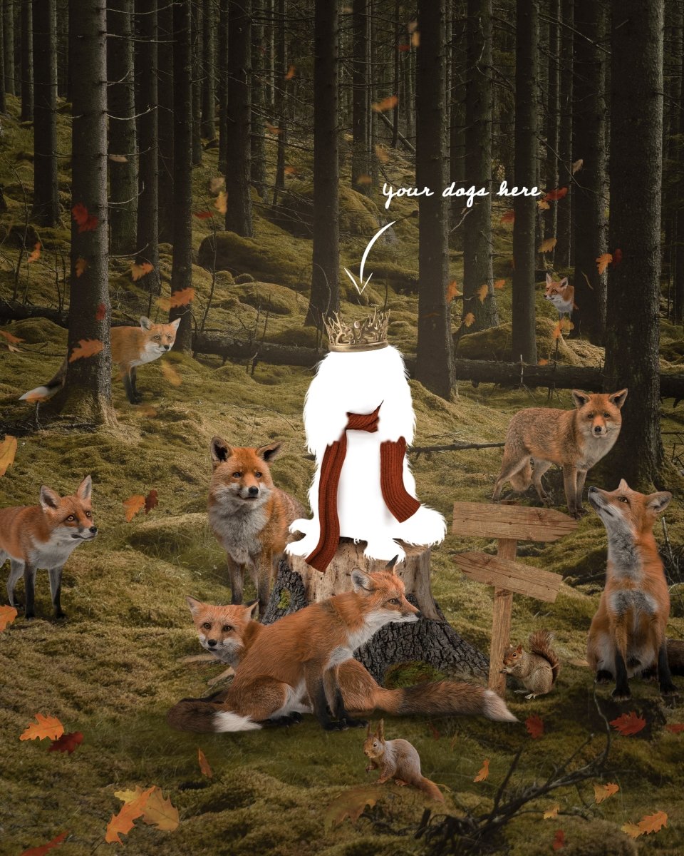 Fox Forest Insert - 7KINGCAVALIERS
